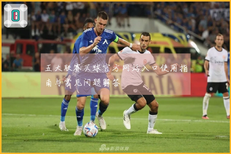 五大联赛买球官方网站入口使用指南与常见问题解答