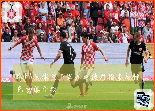 FIFA买球网正式入口使用指南与特色功能介绍