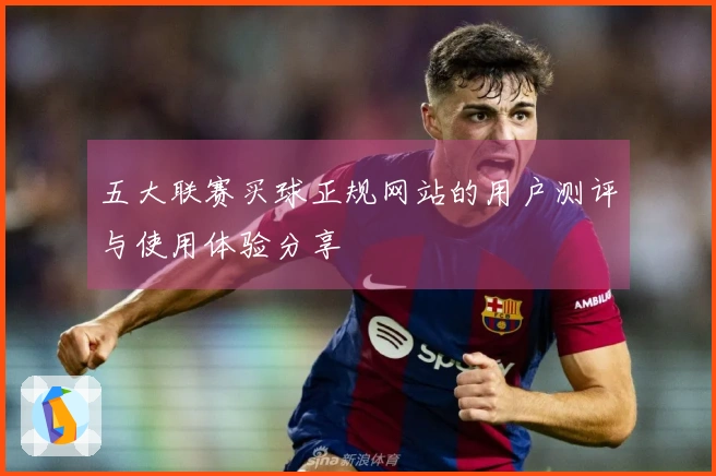 五大联赛买球正规网站的用户测评与使用体验分享