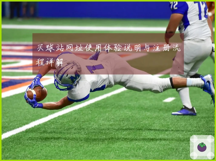 买球站网址使用体验说明与注册流程详解