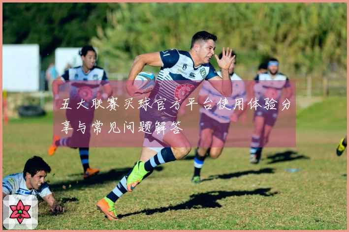 五大联赛买球官方平台使用体验分享与常见问题解答