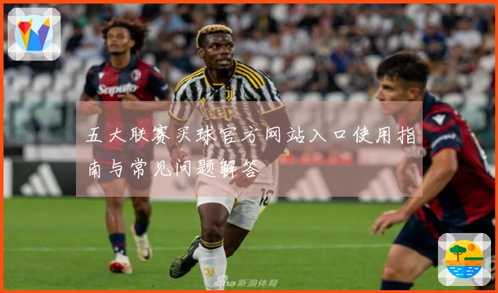 五大联赛买球官方网站入口使用指南与常见问题解答